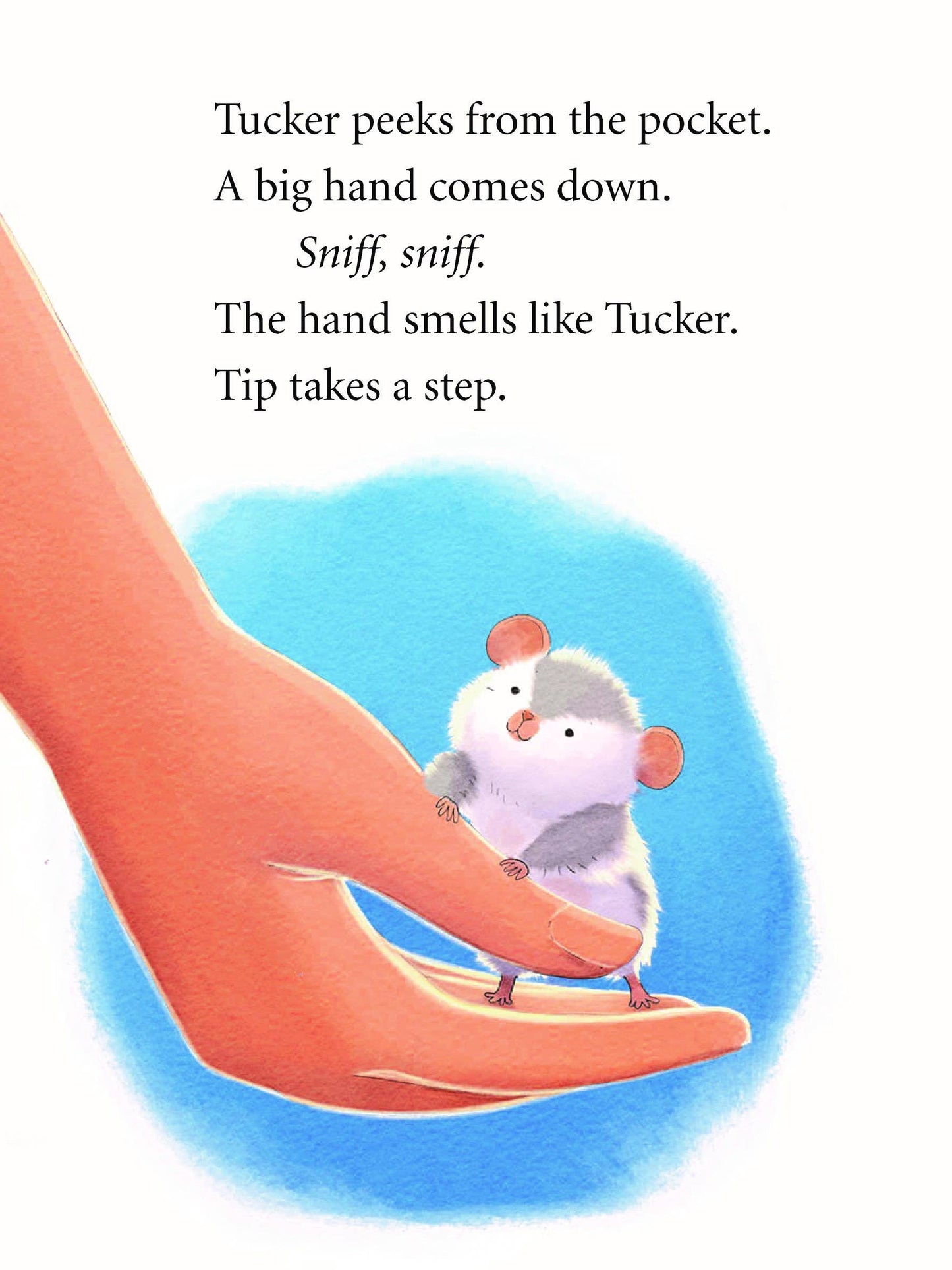 Tip and Tucker: a beginning reader series Kindergarten - 1st