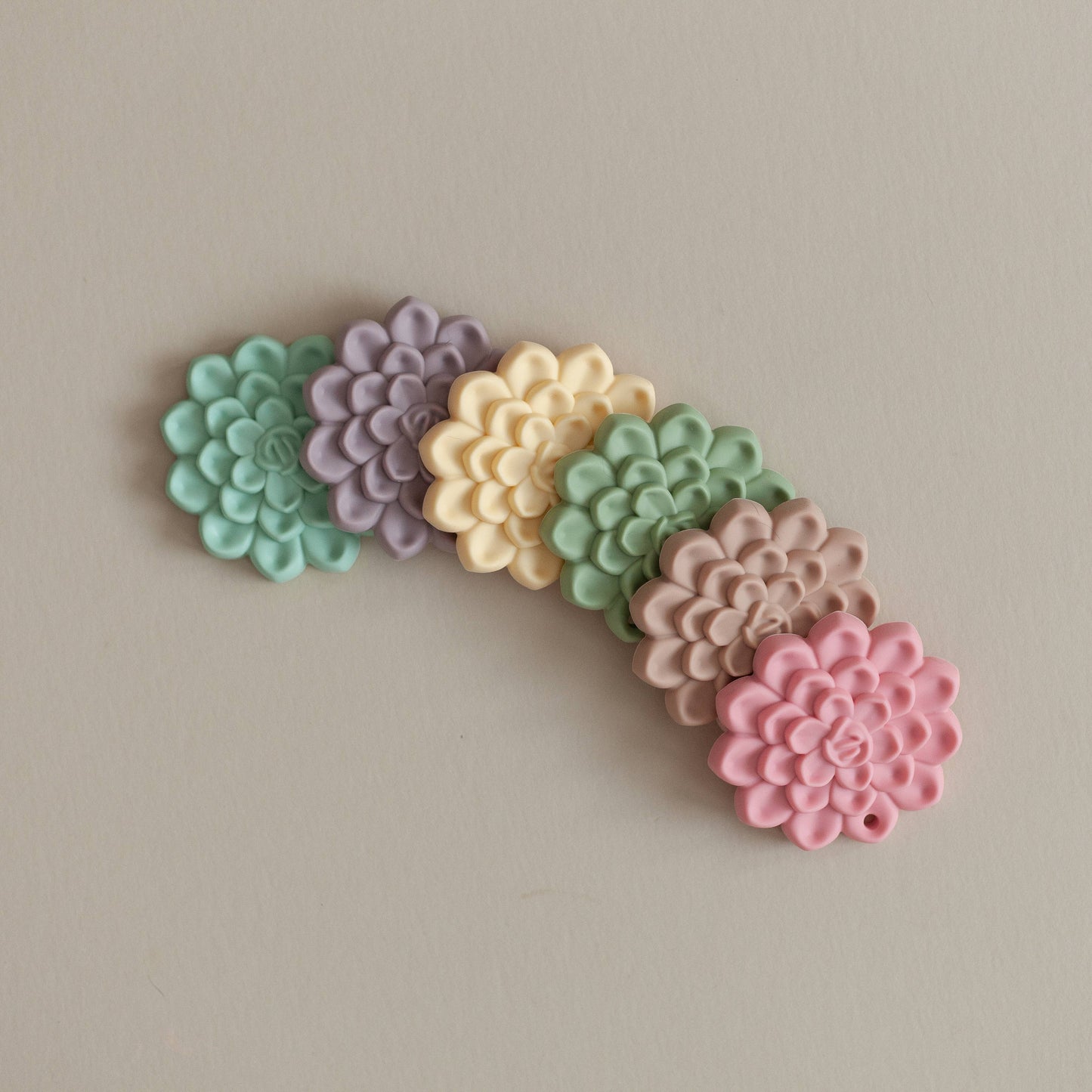 Succulent Teether Set: Teether and Clip Set