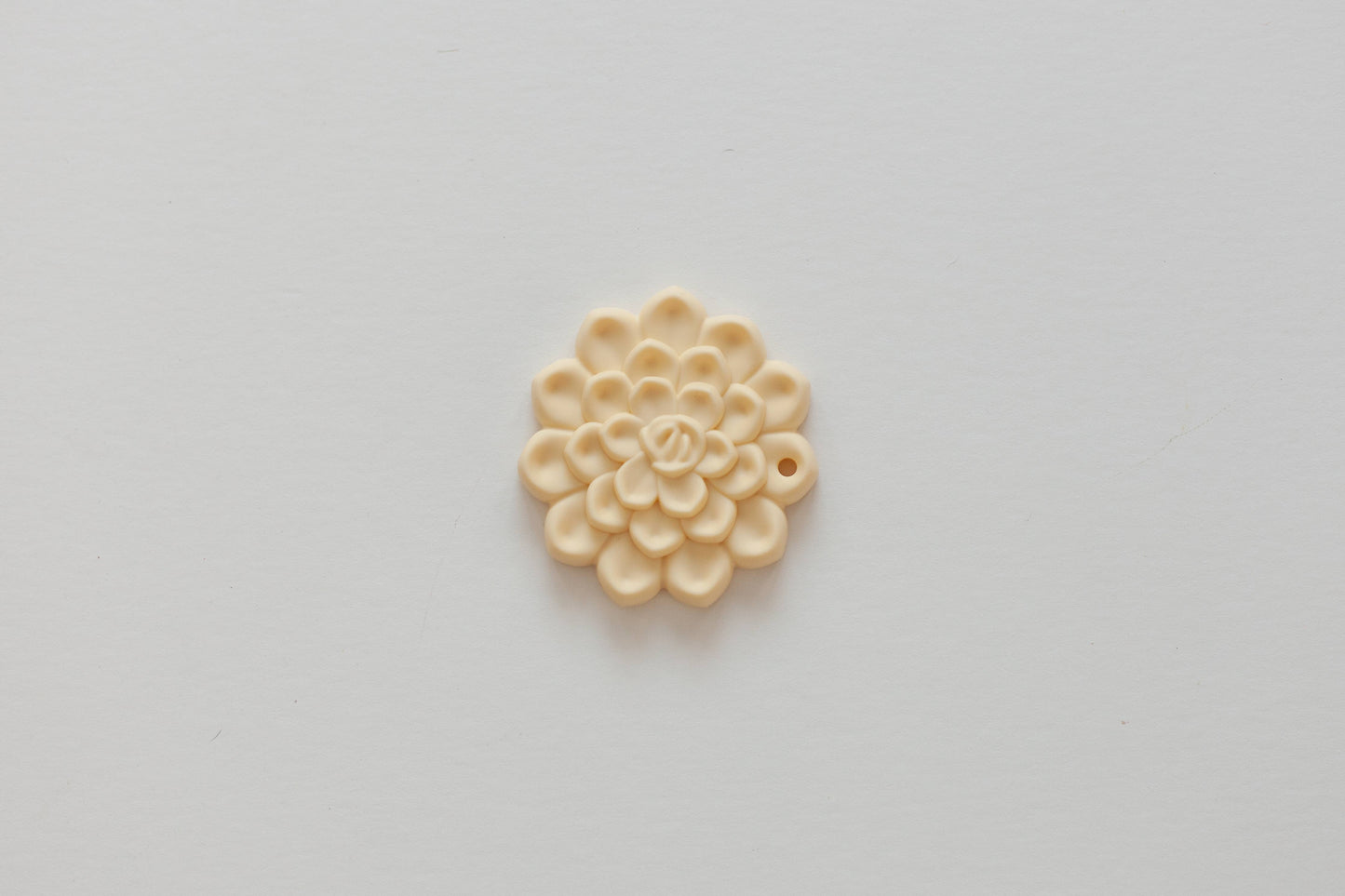 Succulent Teether Set: Teether and Clip Set