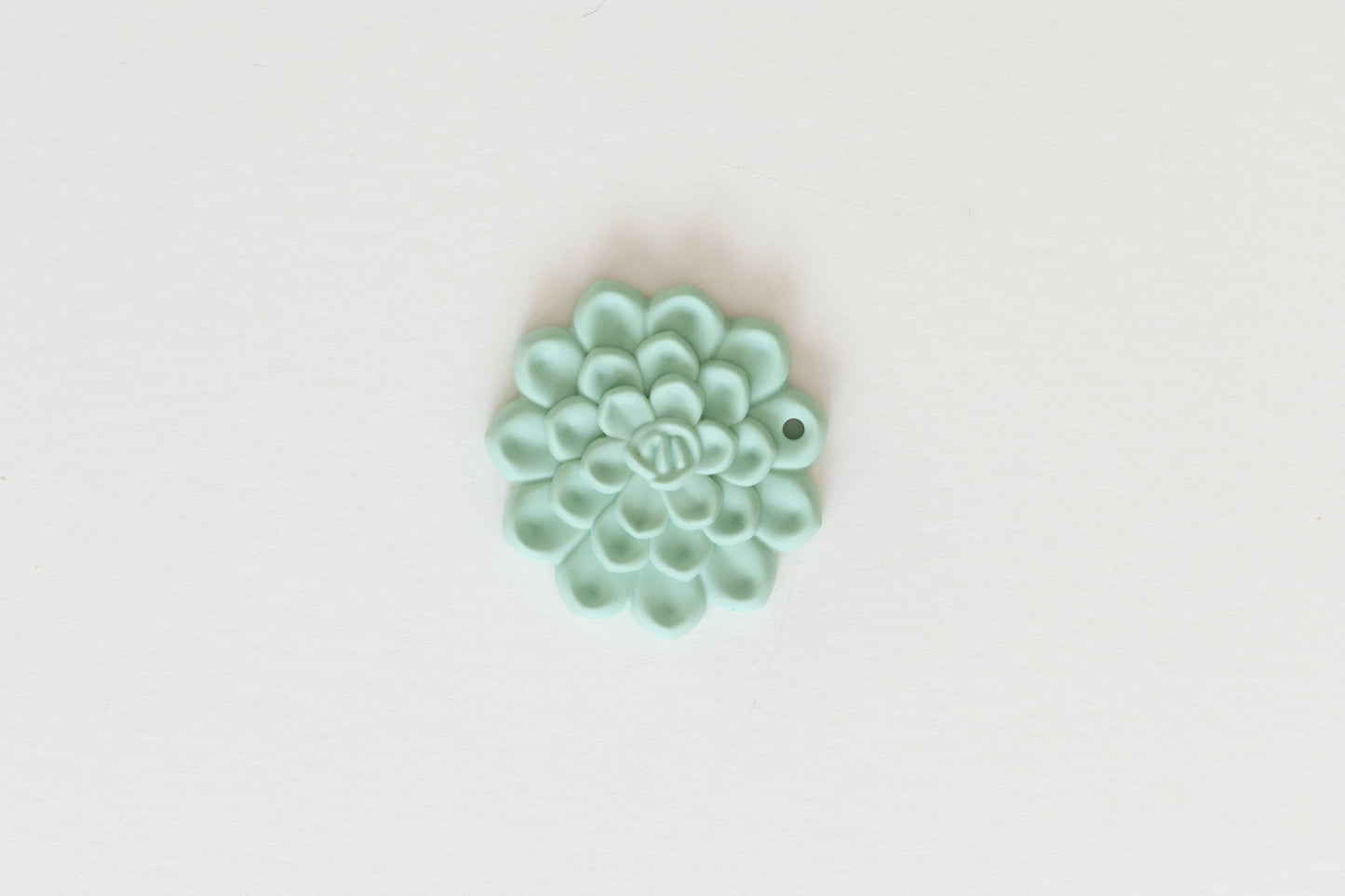 Succulent Teether Set: Teether and Clip Set