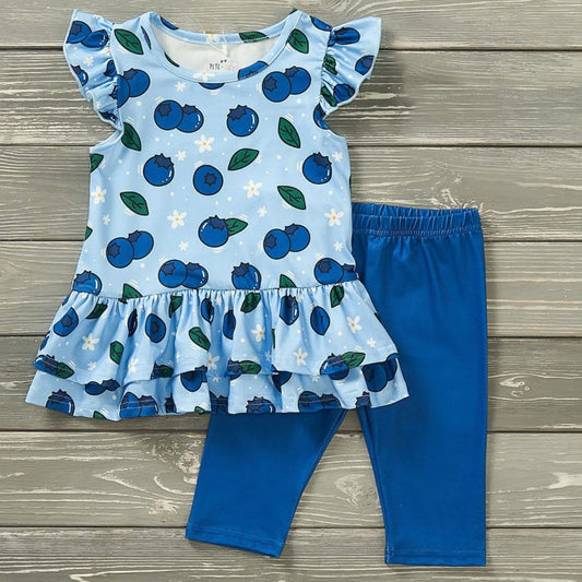 Blueberry Bushel 2 pc set