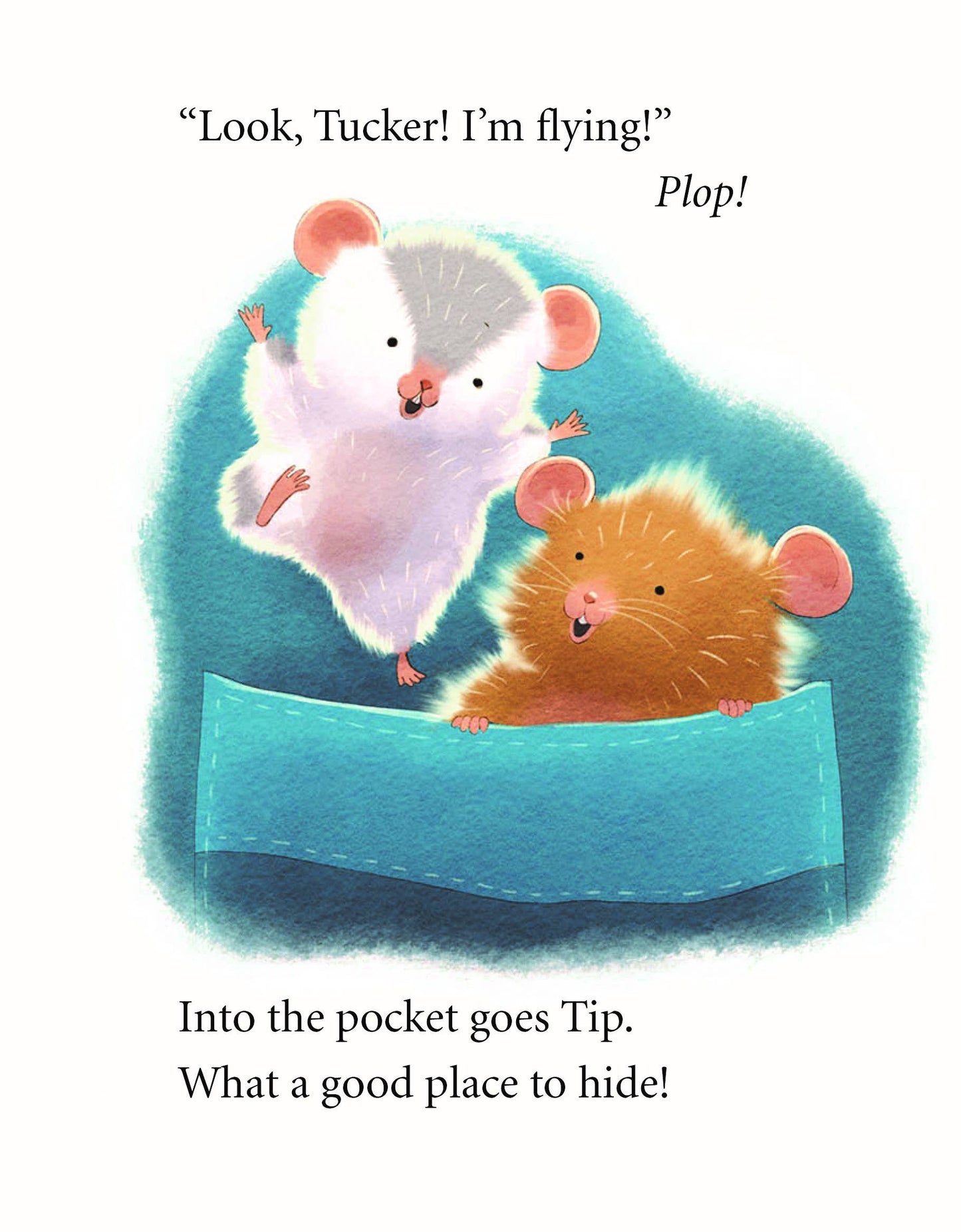 Tip and Tucker: a beginning reader series Kindergarten - 1st