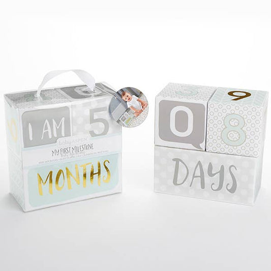 My First Milestone Baby Age Blocks