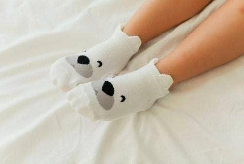 Polar Bear Socks: White