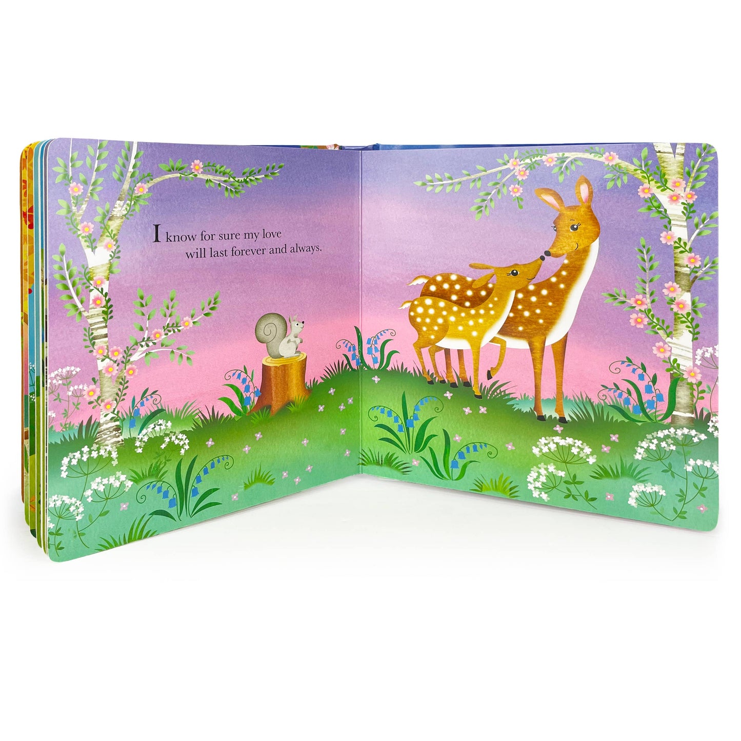 Grandma Wishes Keepsake Padded Board Book