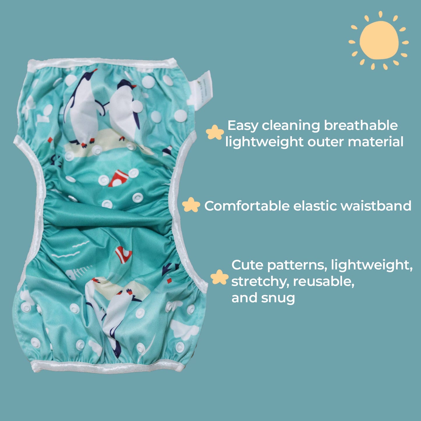 One Size Swim Cloth Diaper Training Pants