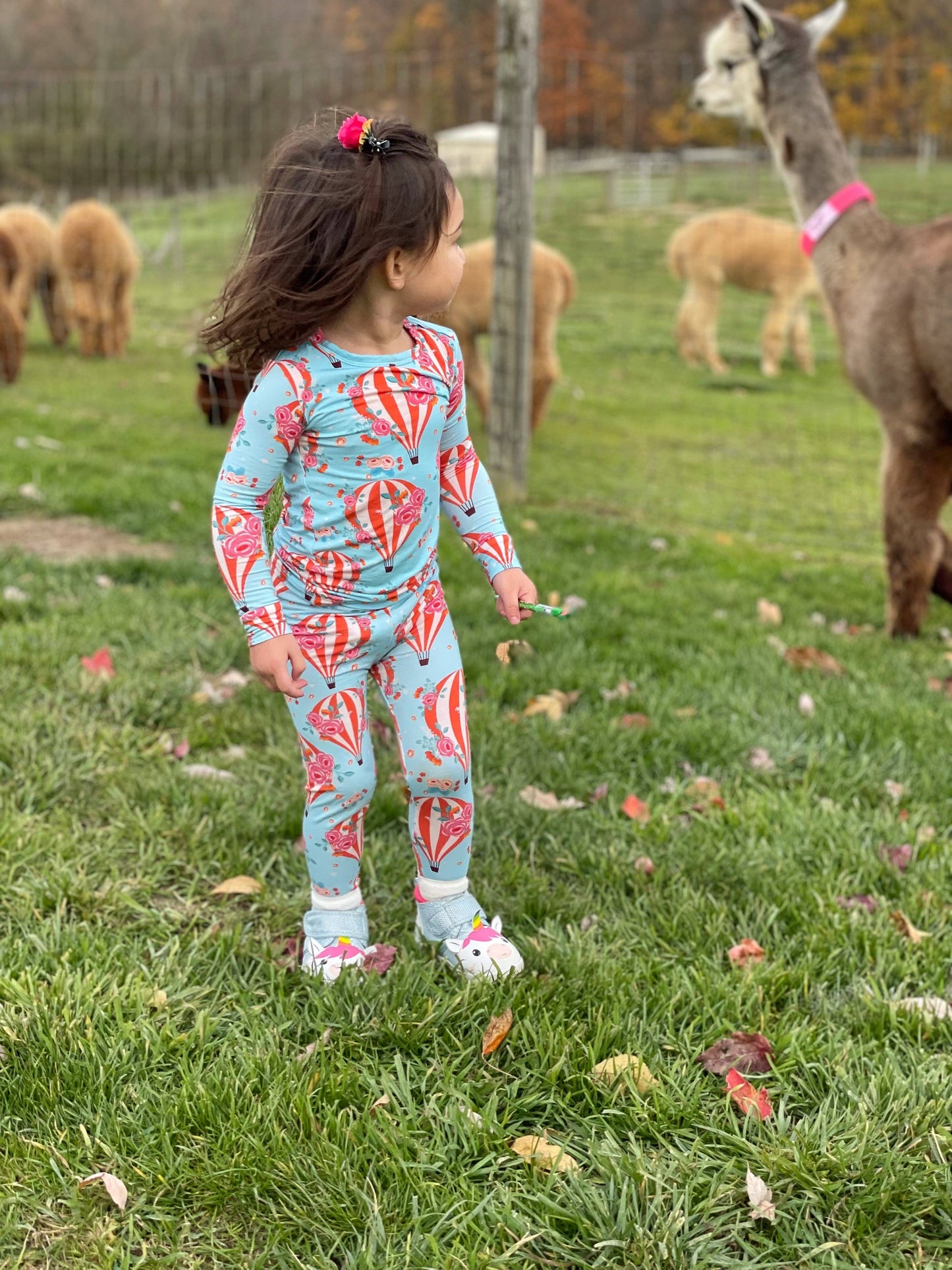 Hot Air Balloon Long Sleeve Pajamas