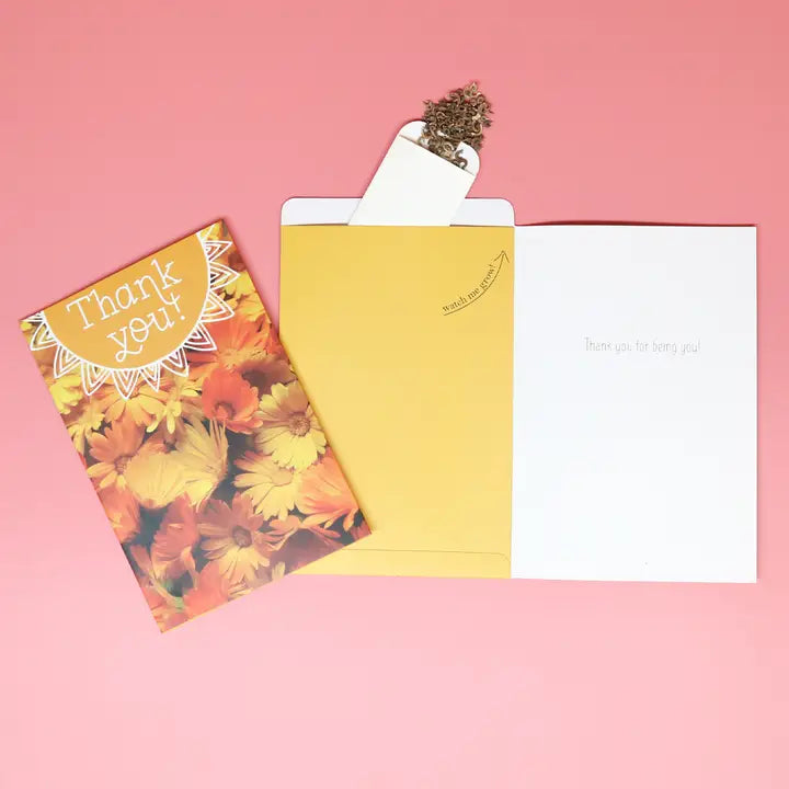 Seeds The Day Greeting Cards